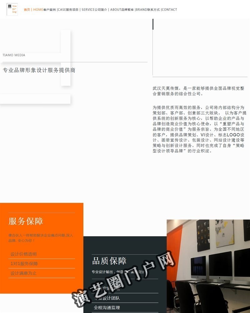 logo标志设计,食品纸盒包装设计,宣传画册设计,品牌全案战略策划，让设计为营销赋能-TIAMO天莫传媒截图